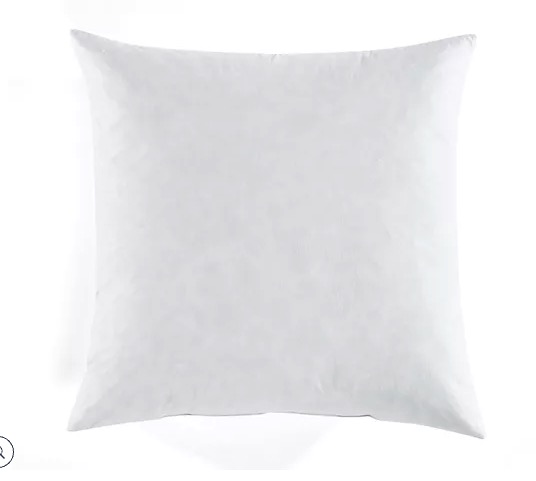 Lush Decor 21" x 21" Feather Down Pillow Insert, Cotton Cover, White (QVC H396716)