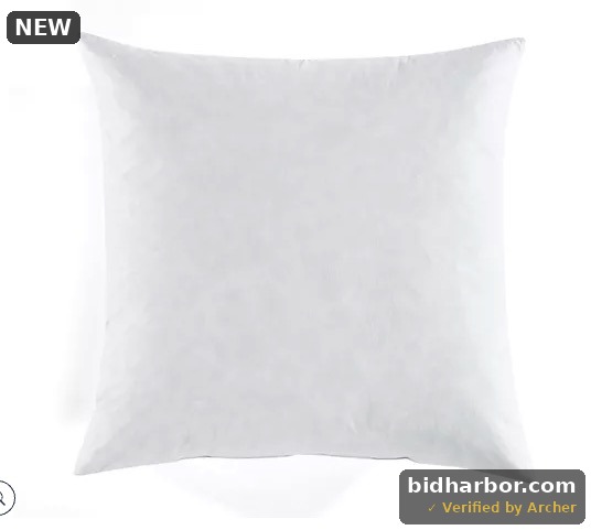 Lush Decor 21" x 21" Feather Down Pillow Insert, Cotton Cover, White (QVC H396716)
