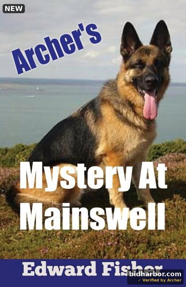 Archer's Mystery At Mainswell, (Paperback)