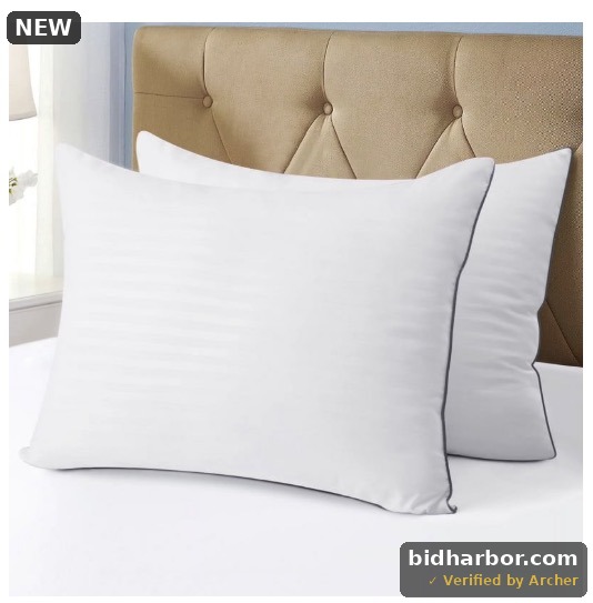 JUSTLET Standard Size Pillows Set of 2-Down Alternative Pillows for Side,Back,Stomach Sleepers,Breathable & Skin-Friendly,Machine Washable,20 x 26