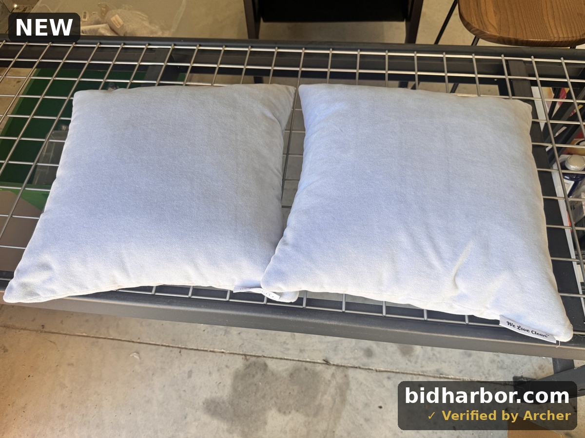 2 frenchie Scatter Cushions